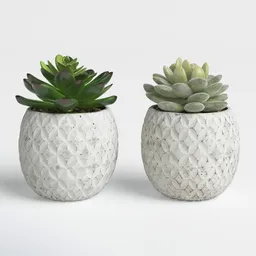 Set of 2 Succulent Planters