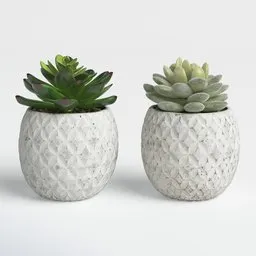 Set of 2 Succulent Planters