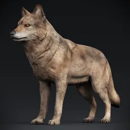 Wolf Low Poly