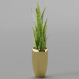 "Sansevieria homeplant in a luxurious gold pot on a sleek gray surface. This realistic 3D model, created with Blender 3D, showcases a tall, elegant plant with vibrant green foliage. The vase stands at 46cm, while the overall height reaches 116cm, perfect for adding a touch of nature to any indoor space."