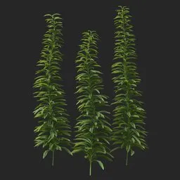 Simple Bush