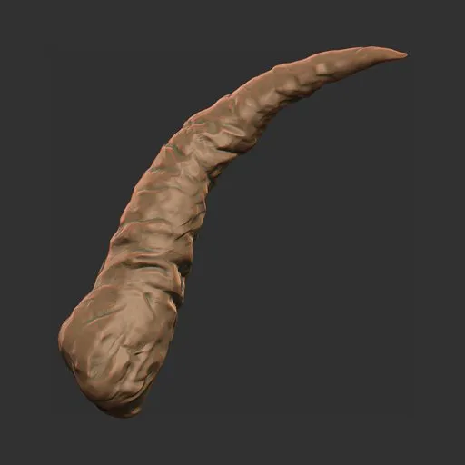 Rugged Battle Horn