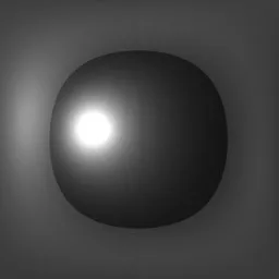 Neutral Softbox Studio Lighting