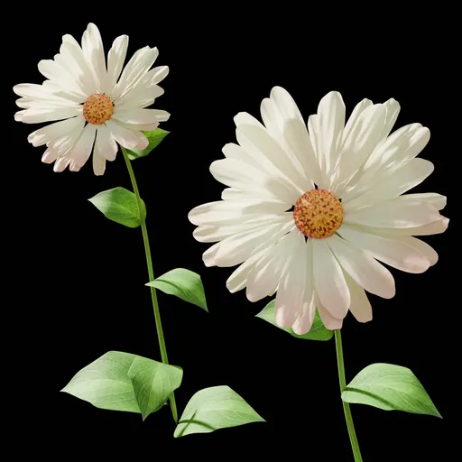 White Flower