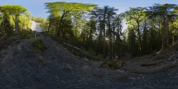 360-degree HDR panorama of sunlit forest with waterfall in British Columbia.