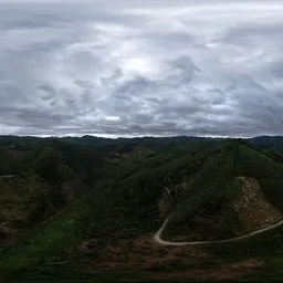 Cloudy forest hills /18k