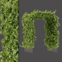 Green Vine Arch