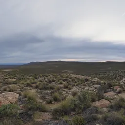 Aarfontein Dusk