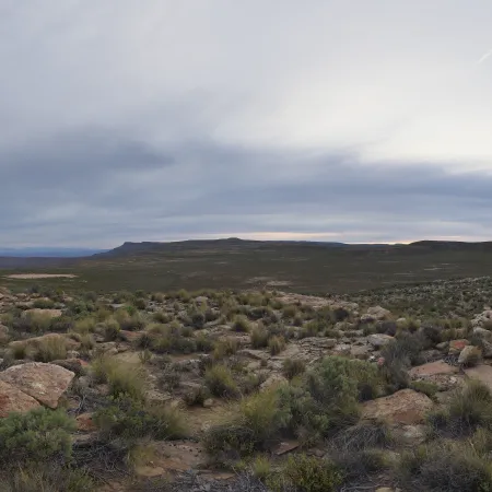 Aarfontein Dusk