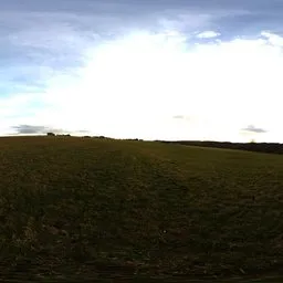 Soft Sunset Field.exr