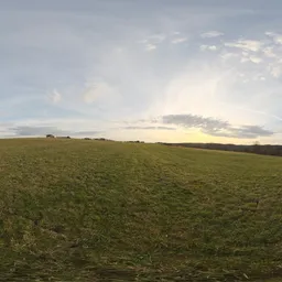 Soft Sunset Field.exr