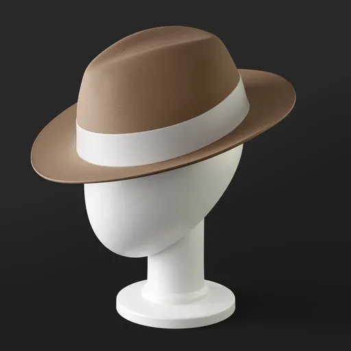 Hat Fedora Accessory