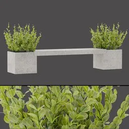 Modern Dual Planters