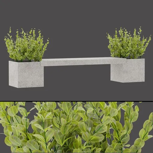 Modern Dual Planters