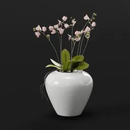 Pink Orchid in White Vase