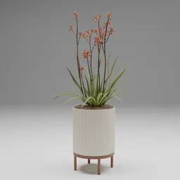 Flower Pot Plant
