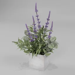 Lavender pot