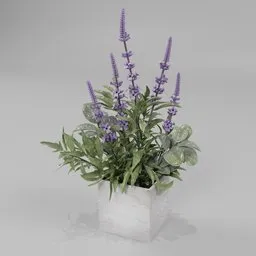 Lavender pot