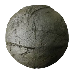 Wet Quartzite Rock