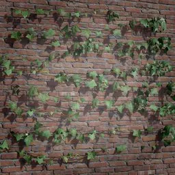 Detailed ivy creeper 3D asset on brick wall, designed for game environments and 3D Blender scenes.