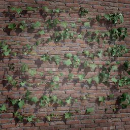 Ivy Creeper Tile 2M 03 02