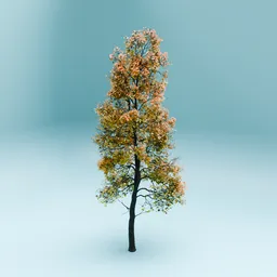 Tree variation in autumn 03