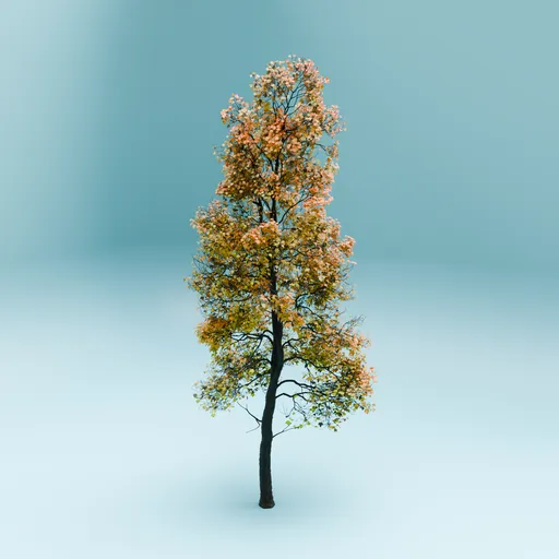 Detailed 3D autumnal tree model ideal for Blender 3D outdoor scenes, showcasing foliage in shades of orange and yellow.
