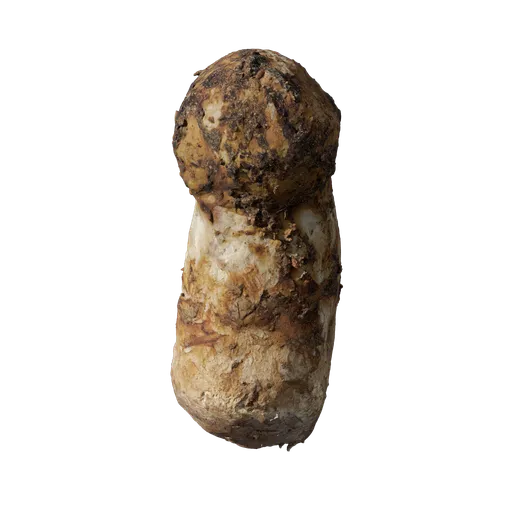 Mushroom