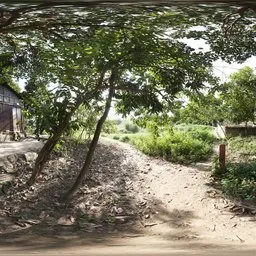 Village Garden Path – Sunny Day HDRI