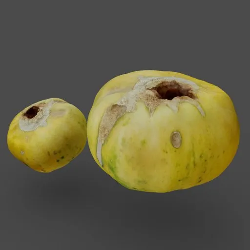 Dried Melons