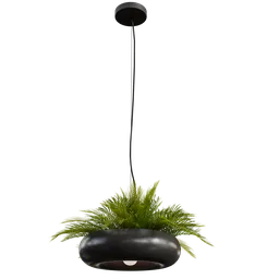Pendant light with plants A