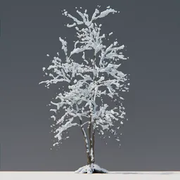 Snow Tree 09