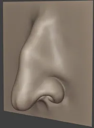Male Nose Crooked