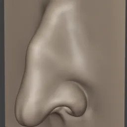 Male Nose Crooked