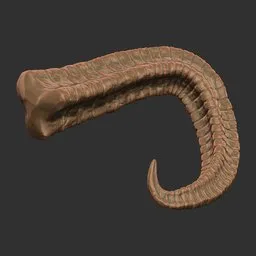 Coiled Tendril Horn