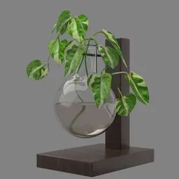 Ivy Plant in Glass Flask