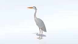 Low Poly Great Blue Heron