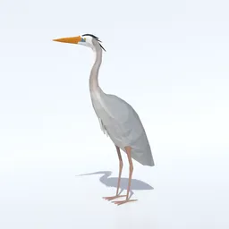 Low Poly Great Blue Heron