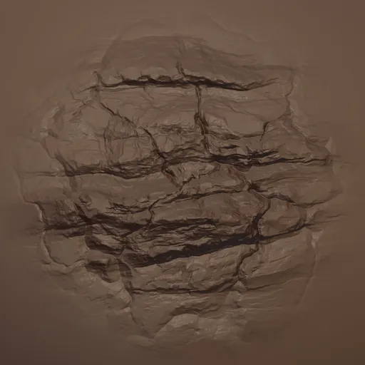 Cracked Rock Rugged Brush