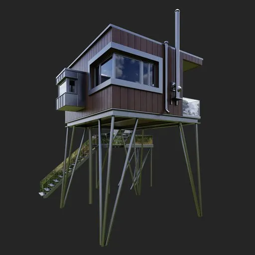 Modern Wood Stilt House