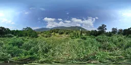 Green tree mountain cloud bluesky