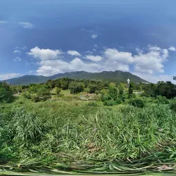 Green tree mountain cloud bluesky