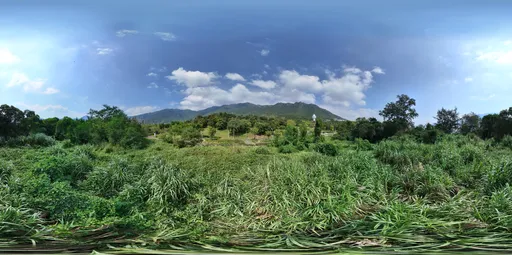 Green tree mountain cloud bluesky