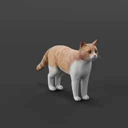 Cat Lowpoly