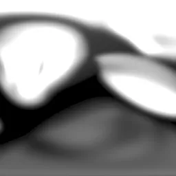 Studio Black and White