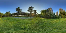 Grassland beside the road at sunset