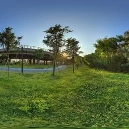 Grassland beside the road at sunset