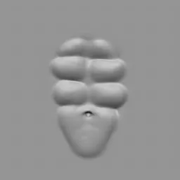 3D sculpting brush imprint for creating detailed male muscle textures in Blender models.