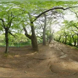 Nagoya Wall Path