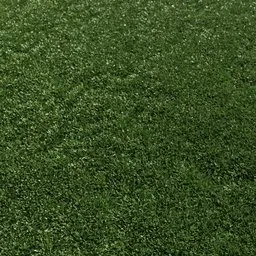 Highly detailed 3D mown grass texture optimized for Blender with efficient viewport performance.